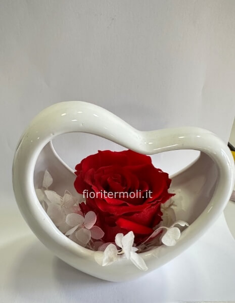 ROSA STABILIZZATA disponibile rossa e blu