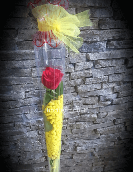 Cono con Rosa rossa e Mimosa